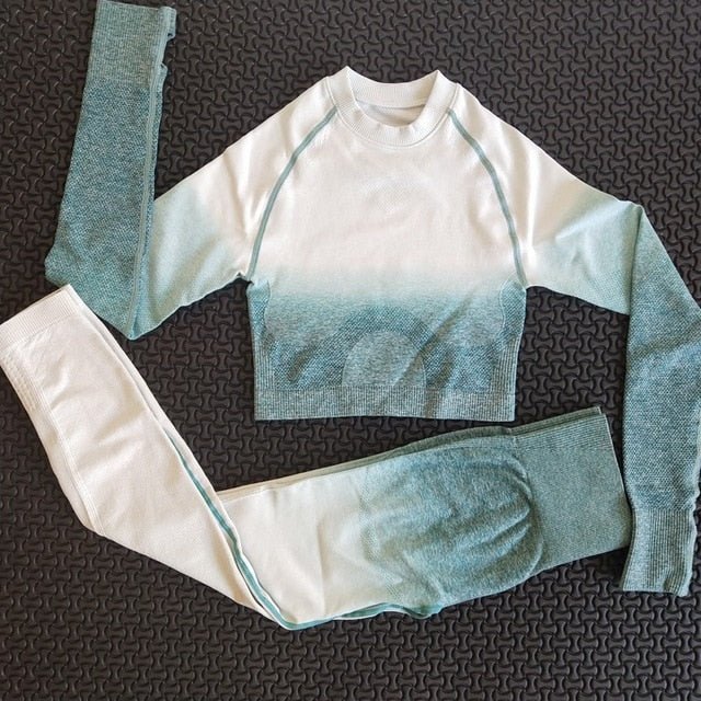 2 piece gym set women ombre seamless workout set yoga-2